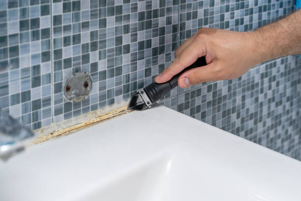 Best Toxic Mold Removal  in Buckeye, AZ