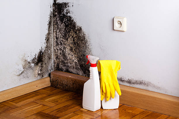 Best Office Mold Removal Services  in Buckeye, AZ